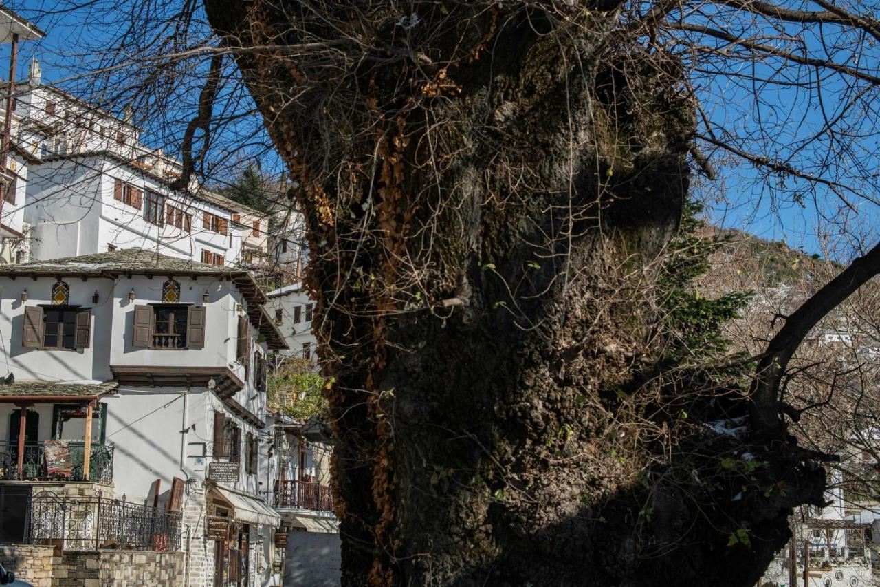 Philos Guesthouse Makrinitsa Exterior foto